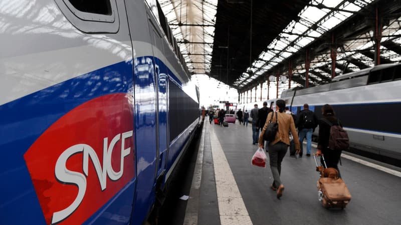 Les portiques seront mis en place à titre expérimental pour les TGV. 