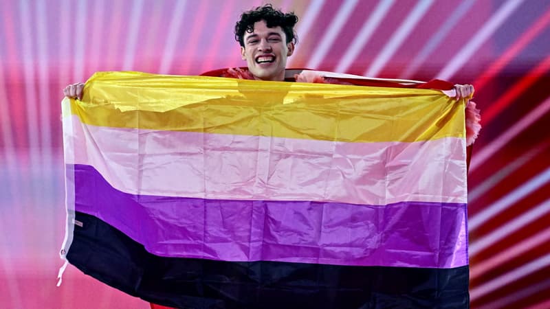 Regarder la vidéo Eurovision 2024: que signifie le drapeau que portait l'artiste suisse Nemo sur scène?