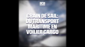 Grain de Sail: du transport maritime en voilier cargo