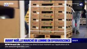 Avant Noël, le marché de gros de Lomme est en pleine effervescence