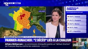 Pannier-Runacher: "2 décès" Chaleur-liée - 02/07