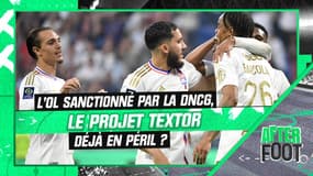 L'OL sanctionné par la DNCG : le projet Textor déjà en péril ?