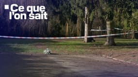Une enfant de 11 ans a été retrouvée morte dans le bois des Templiers, à Epinay-sur-Orge (Essonne)
