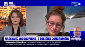 "Un jugement juste": trois entrepreneurs condamnés pour avoir proposé de nager avec des dauphins