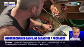 De garagiste à fromager, une reconversion professionnelle réussie à Niederbronn-les-Bains