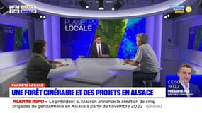 Planète locale du lundi 2 octobre - Une forêt cinéraire et des projets en Alsace