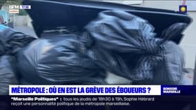 Métropole : où en est la grève des éboueurs ? 