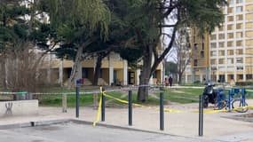Une fusillade a éclaté dimanche à Avignon sans faire de blessé.