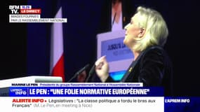 Marine Le Pen: "Nous demandons que soit mis en place au plus tôt le scrutin proportionnel"