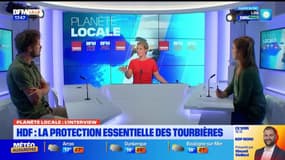Planète Locale du lundi 2 septembre - HDF : la protection essentielle des tourbières