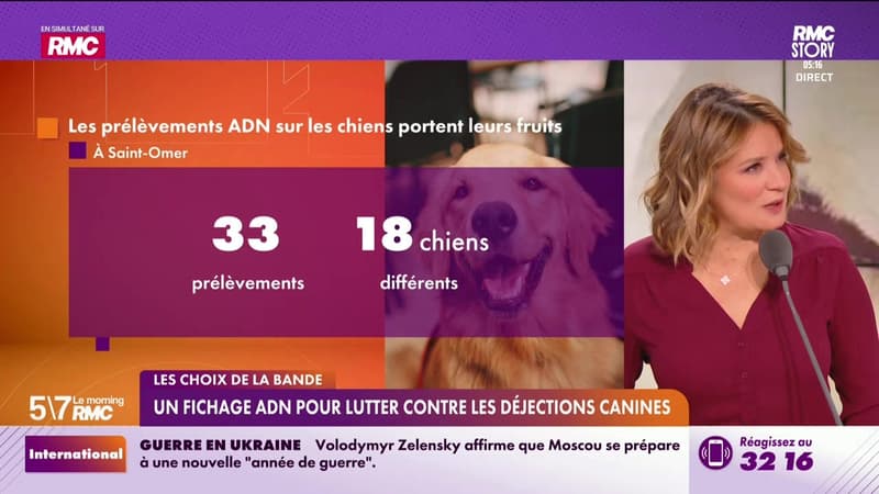 Les choix de la bande : Un fichage ADN pour lutter contre les déjections canines - 18/12