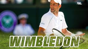 Pas de points à Wimbledon : Djokovic n'est pas (du tout) le seul perdant de cette décision