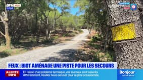 Feux de forêt : Biot aménage une piste de 800 mètres pour faciliter l'intervention des secours