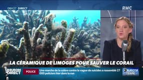 Objectif Terre : La céramique de Limoges pour sauver le corail - 03/10