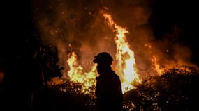Des pompiers luttent contre les flammes à Baiao dans le nord du Portugal, le 15 juillet 2022.