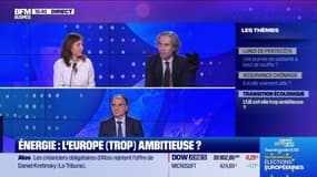 Énergie : l'Europe (trop) ambitieuse ? - 20/05