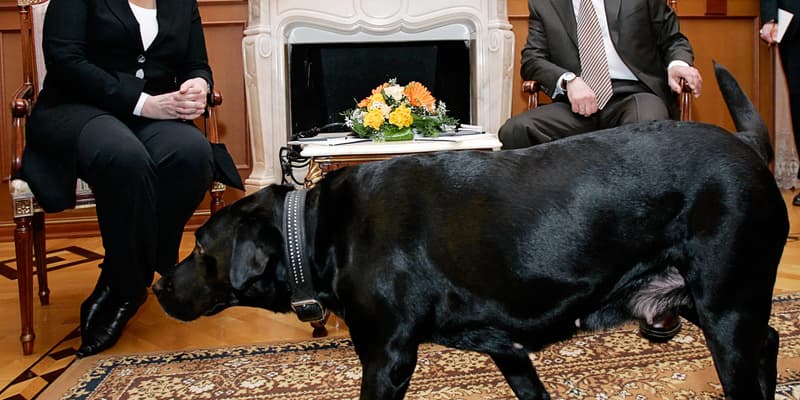 Angela Merkel et Vladimir Poutine lors d'une rencontre à Sotchi, en Russie, en janvier 2007.