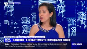 Sarah El Haïry (secrétaire d'État chargée de la biodiversité): "Quand [la vigilance] devient rouge, tout le monde est susceptible de souffrir de la chaleur"