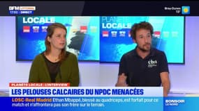 Planète Locale du mercredi 2 octobre - Les pelouses calcaires, un espace à protéger
