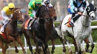 Disparition du jeune jockey Benjamin Messina