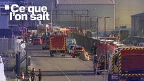 Plusieurs véhicules de sapeurs-pompiers en intervention devant l'usine Saipol de Sète, dans l'Hérault, le 11 avril 2024 