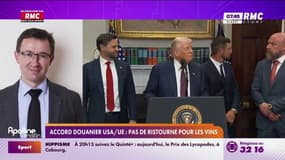 Droits de douane sur les vins et spiritueux: "On espère pouvoir bénéficier de l'exemption", déclare Jean-Marie Fabre, président du syndicat des vignerons indépendants de France