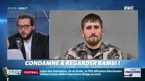 #Magnien: un braconnier américain condamné à regarder... Bambi !