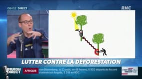 Anthony Morel: quand les smartphones luttent contre la déforestation