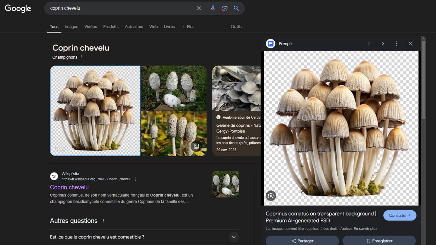 La première image qui apparaît quand on recherche "Coprin chevelu" a été générée par l'IA. 