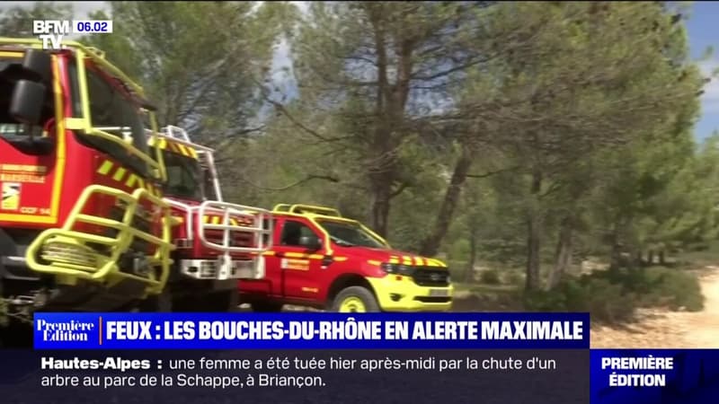 Feux de forêt: le département des Bouches-du-Rhône classé en vigilance rouge