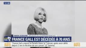 "Elle n'a pas pu s'appeler Isabelle Gall." Fabien Lecœuvre revient sur le nom de scène de France Gall