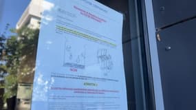 À Saint-Étienne-du-Rouvray, les rats envahissent les espaces extérieurs et parfois communs de deux immeubles, avenue Maryse Bastié. 