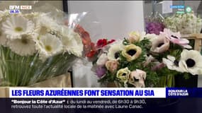 Les fleurs azuréennes font sensation au Salon de l'agriculture à Paris