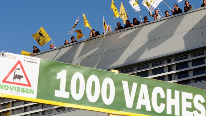 L'arrêt de l'activité laitière en 2021, une "satisfaction" pour les opposants à la ferme "des 1000 vaches"