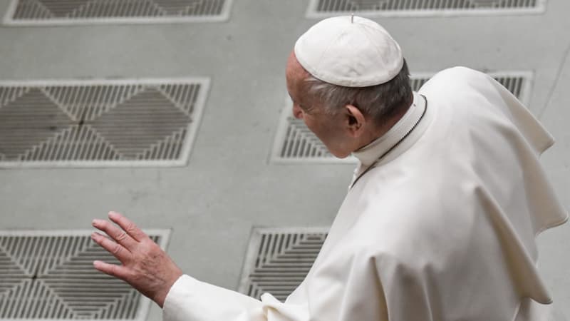Le Pape François à l'audience hebdomadaire du Vatican, le 15 janvier 2020