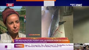 Des restaurateurs posent avec un requin mort en cuisine, Sea Shepherd porte plainte 
