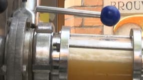 Un brasseur belge a inauguré ce vendredi sa pipeline de bière à Bruges.