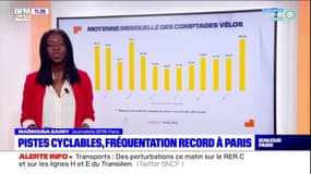 Pistes cyclables: fréquentation record à Paris
