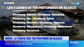 Grève à la SNCF: neuf lignes TER perturbées en Alsace ce jeudi