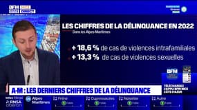 Les chiffres de la délinquance en 2022 dans les Alpes-Maritimes