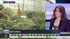 Par'Is Green: Après noël, pour lutter contre le gaspillage, les sapins sont recyclés pour en faire du compost