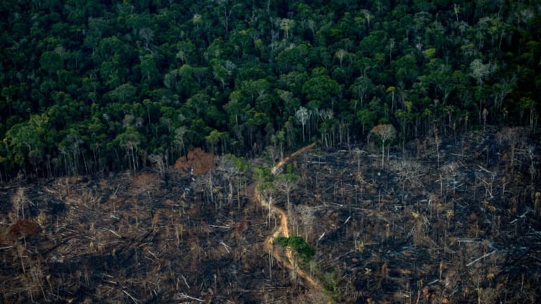 Vue aérienne d'une zone de déforestation de l'Amazonie, le 15 septembre 2021 à Labrea, au Brésil