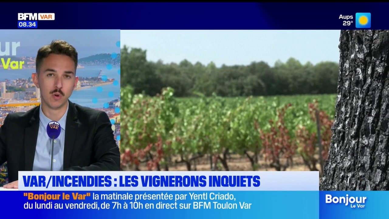 Var/incendies : les vignerons inquiets