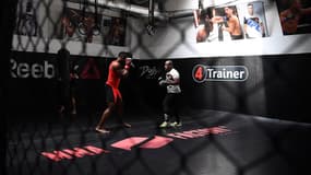 Le MMA officiellement autorisé en France