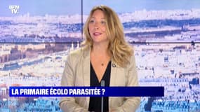 La Primaire écolo parasitée ? - 04/09