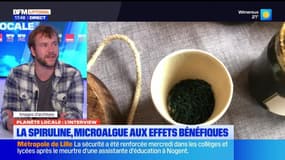 Planète Locale du mercredi 11 juin - La spiruline, microalgue aux effets bénéfiques