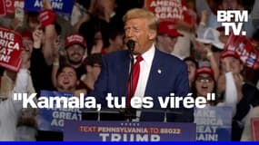 Donald Trump s’en est pris à Kamala Harris lors d’un meeting dans l’État de Pennsylvanie 