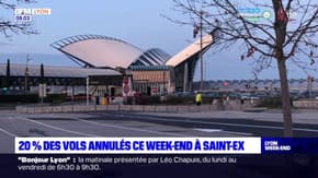 Lyon: 20% des vols sont annulés à l'aéroport Saint Exupéry sont annulés 