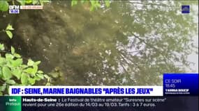Île-de-France: la Marne ne sera pas baignable pour les Jeux olympiques