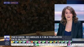 Par'is green: L'abeille, un indicateur de bonne santé de l'environnement